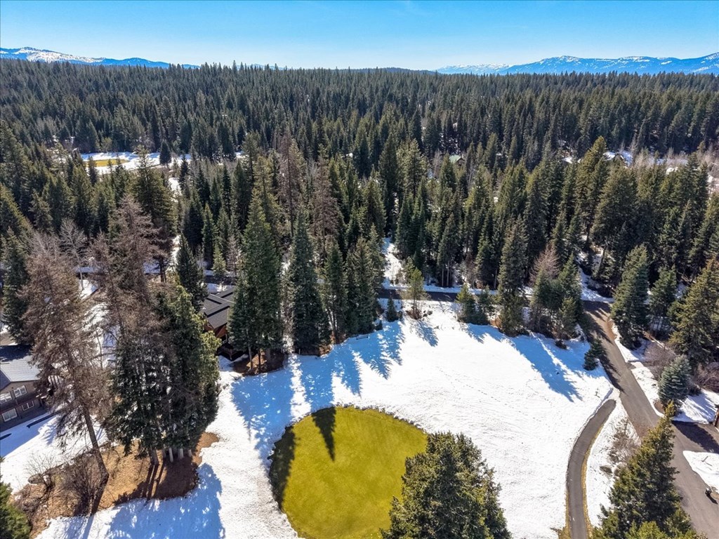 1085 Chip Shot Drive, McCall