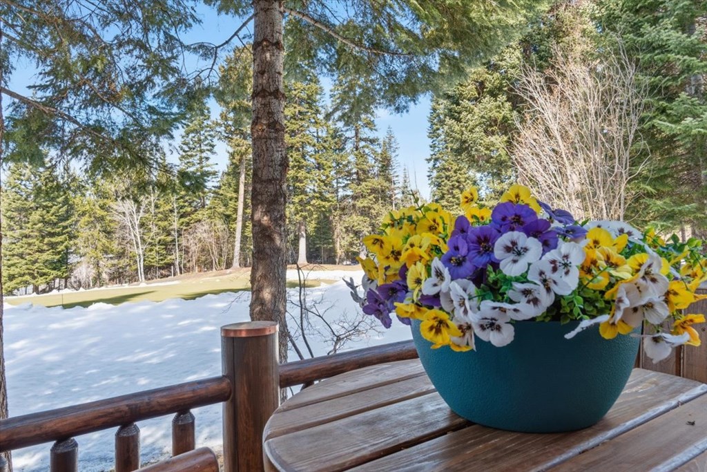 1085 Chip Shot Drive, McCall