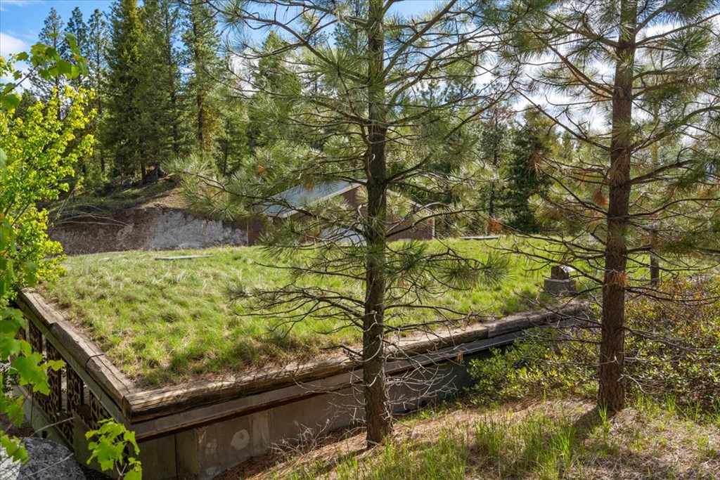 67 Little Donner Drive