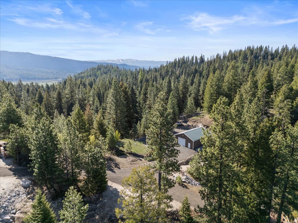 67 Little Donner Drive