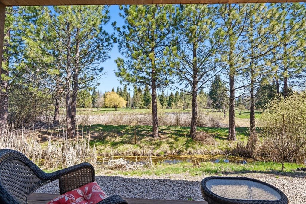 133 Brundage View Court, McCall
