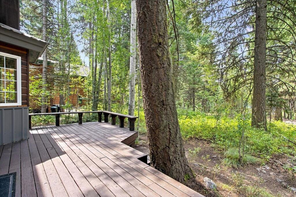 1571 Warren Wagon Road, McCall