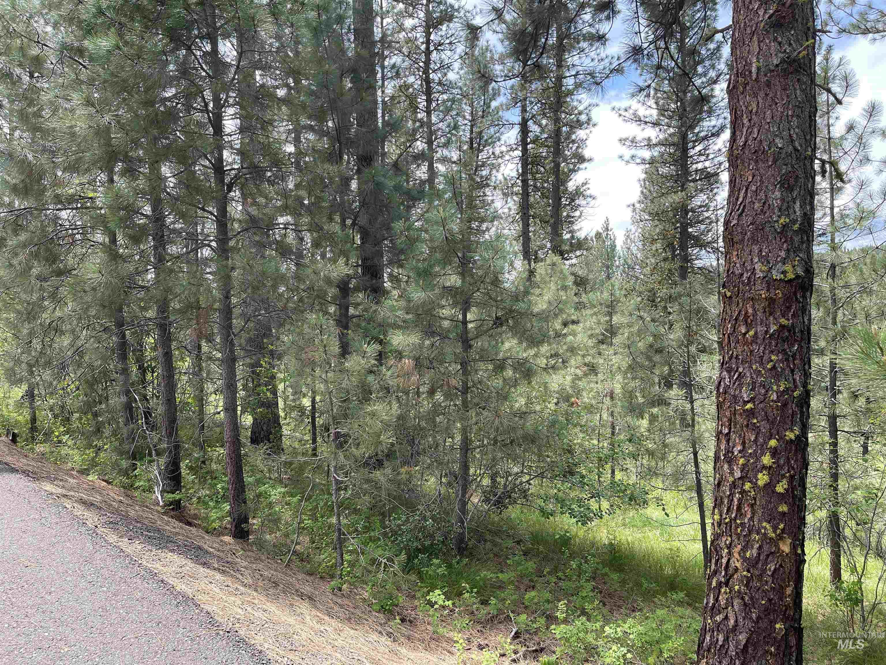 L11B3 Yarrow Drive