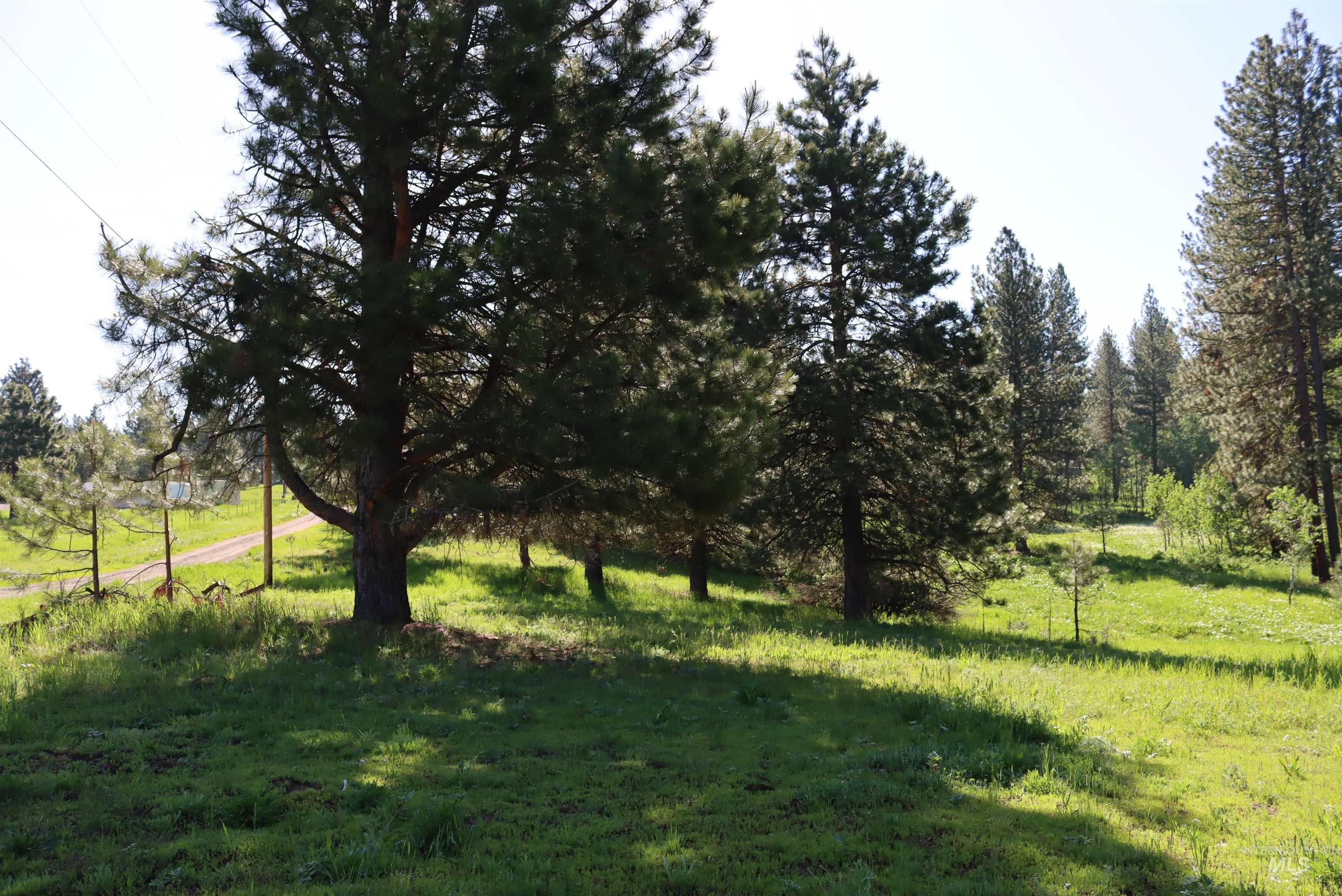 Lot9 Krahn Lane, McCall