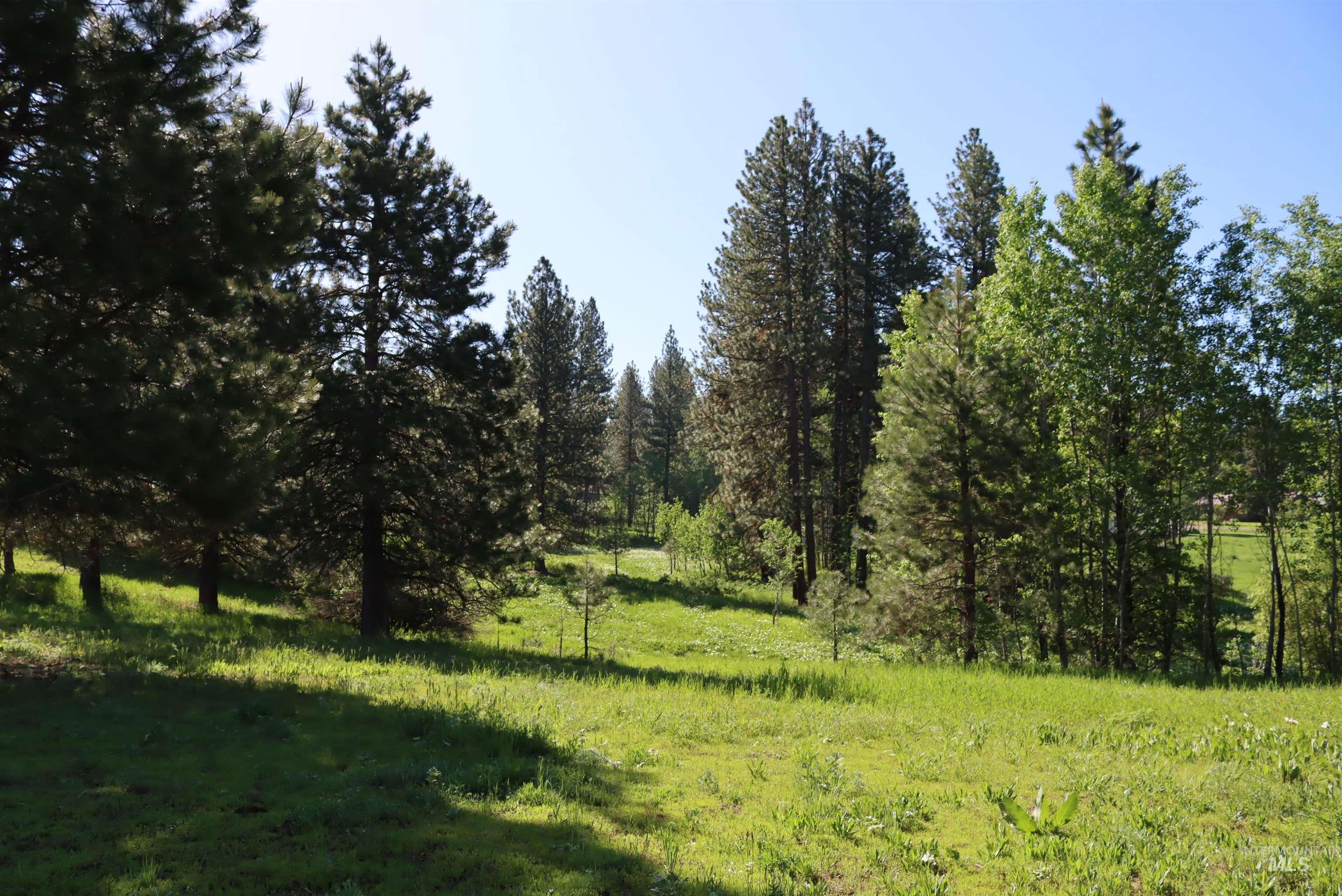 Lot9 Krahn Lane, McCall