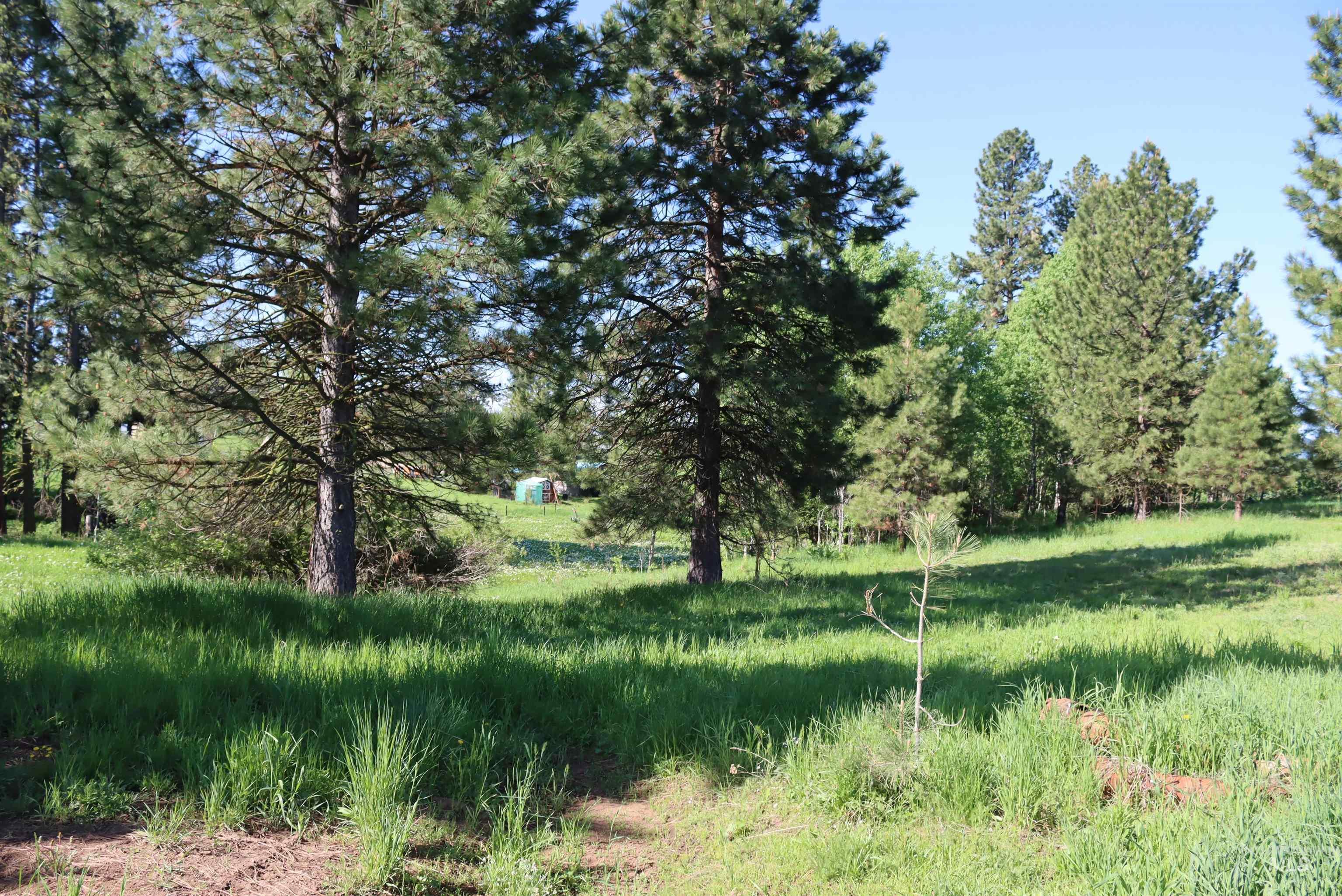 Lot9 Krahn Lane, McCall