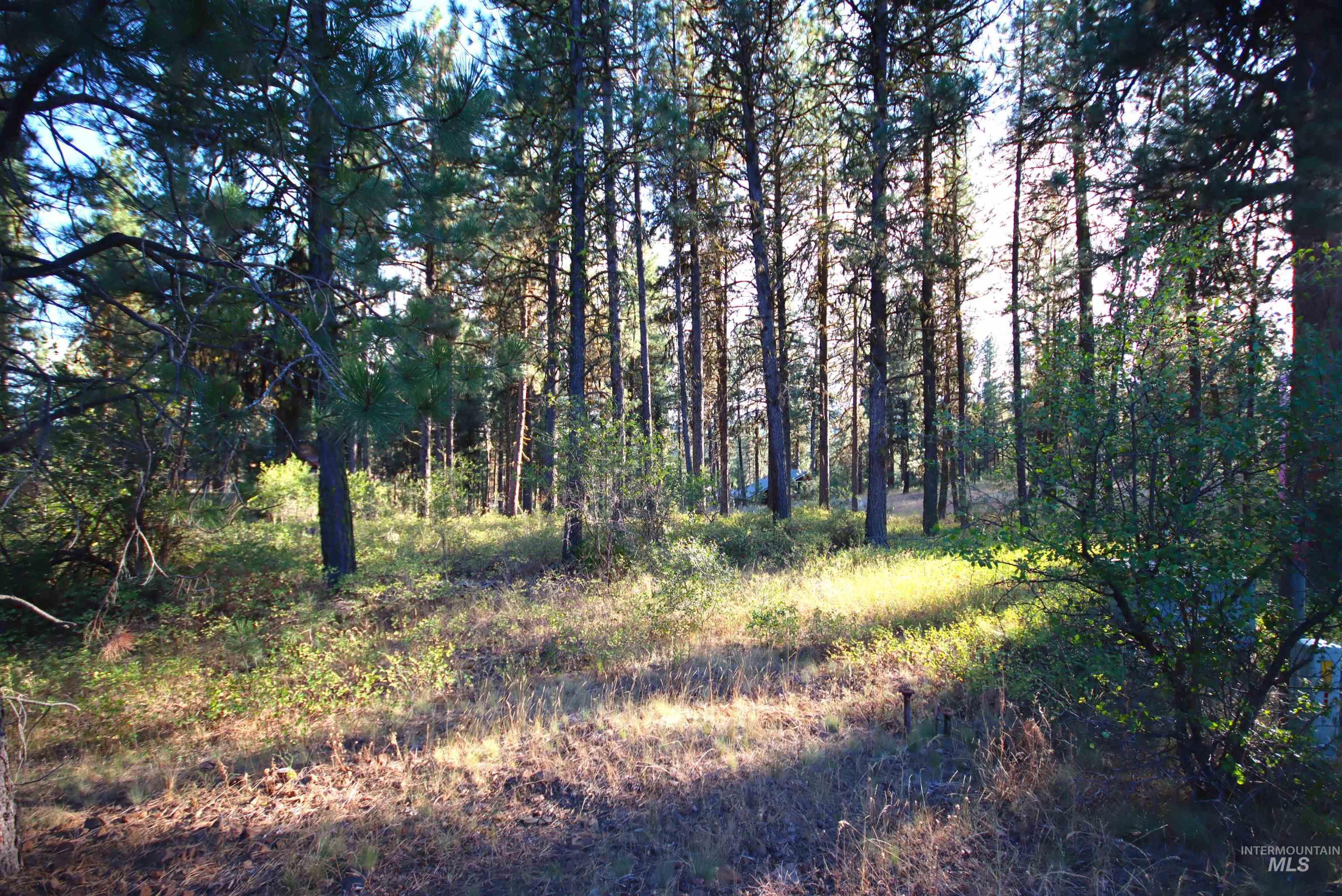 L4B5 Syringa Drive