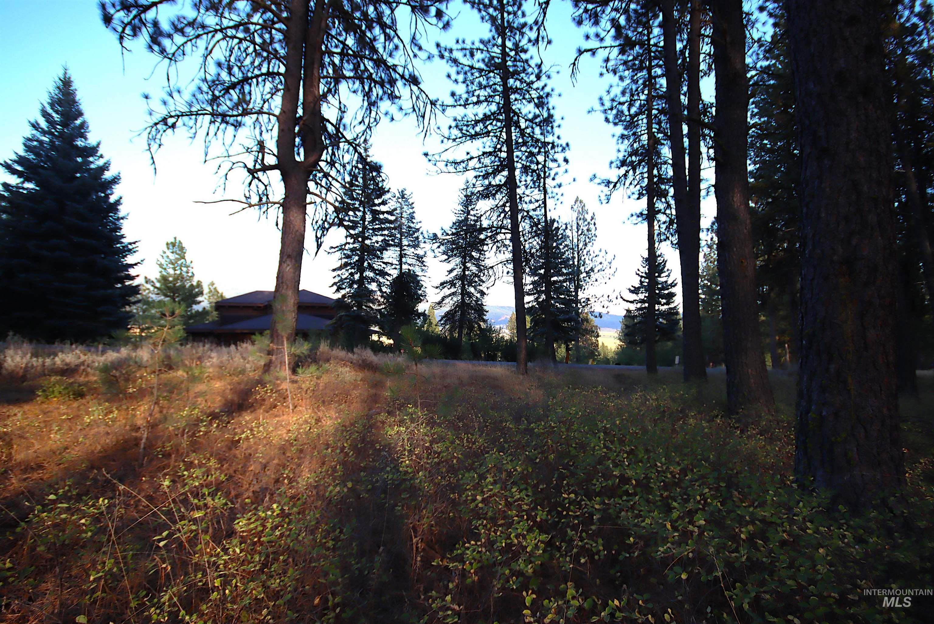 L4B5 Syringa Drive