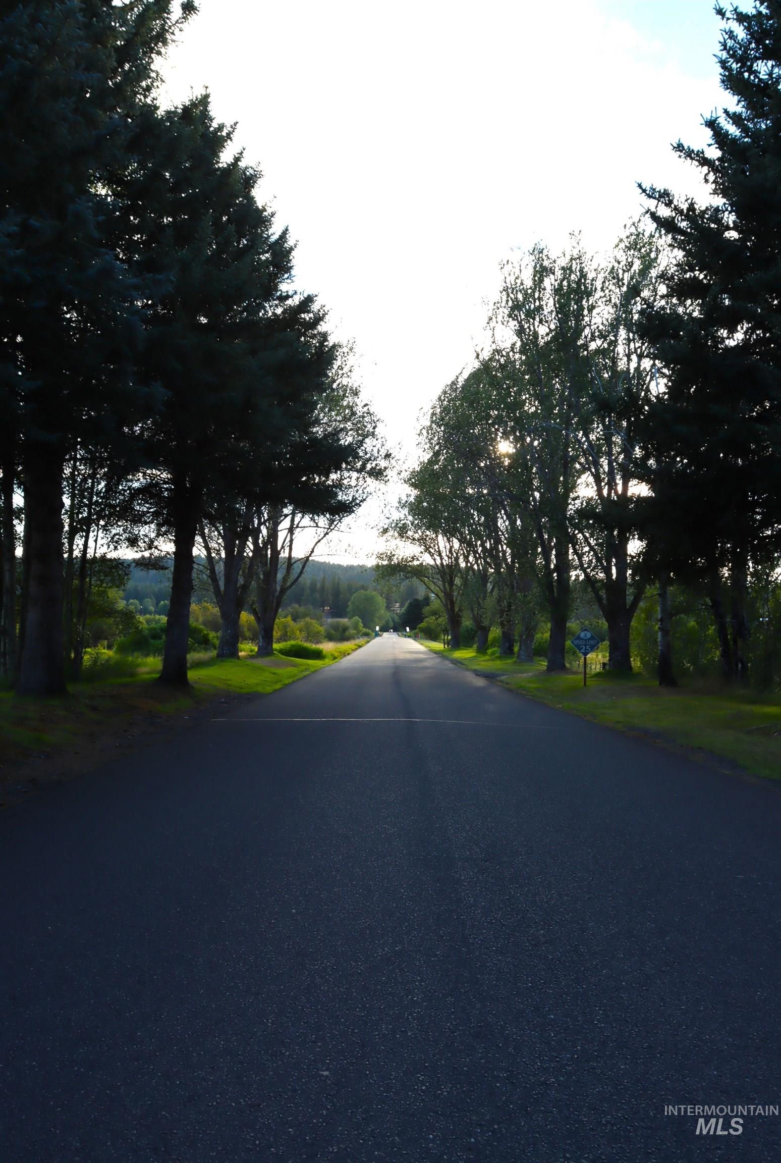 L4B5 Syringa Drive