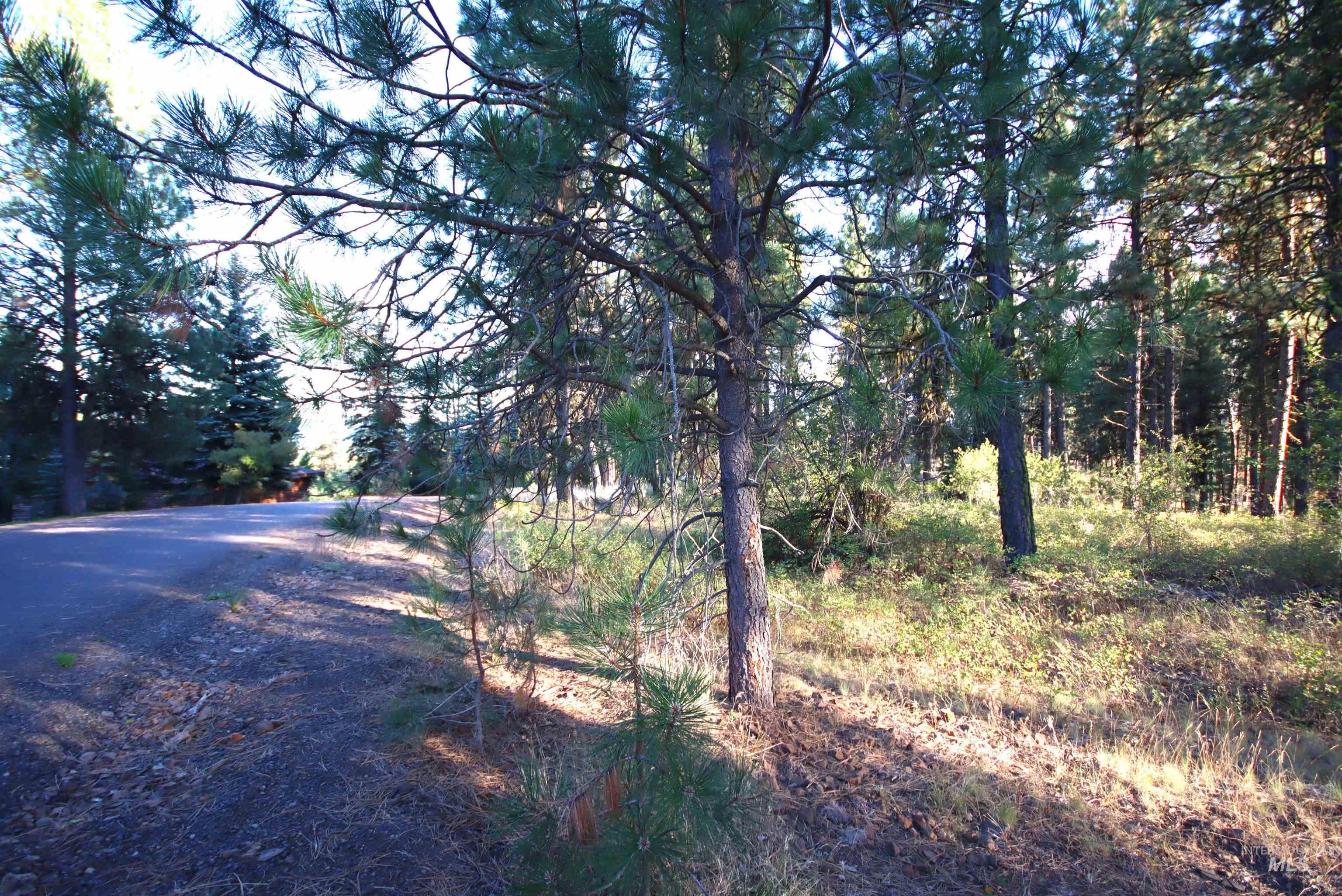 L4B5 Syringa Drive