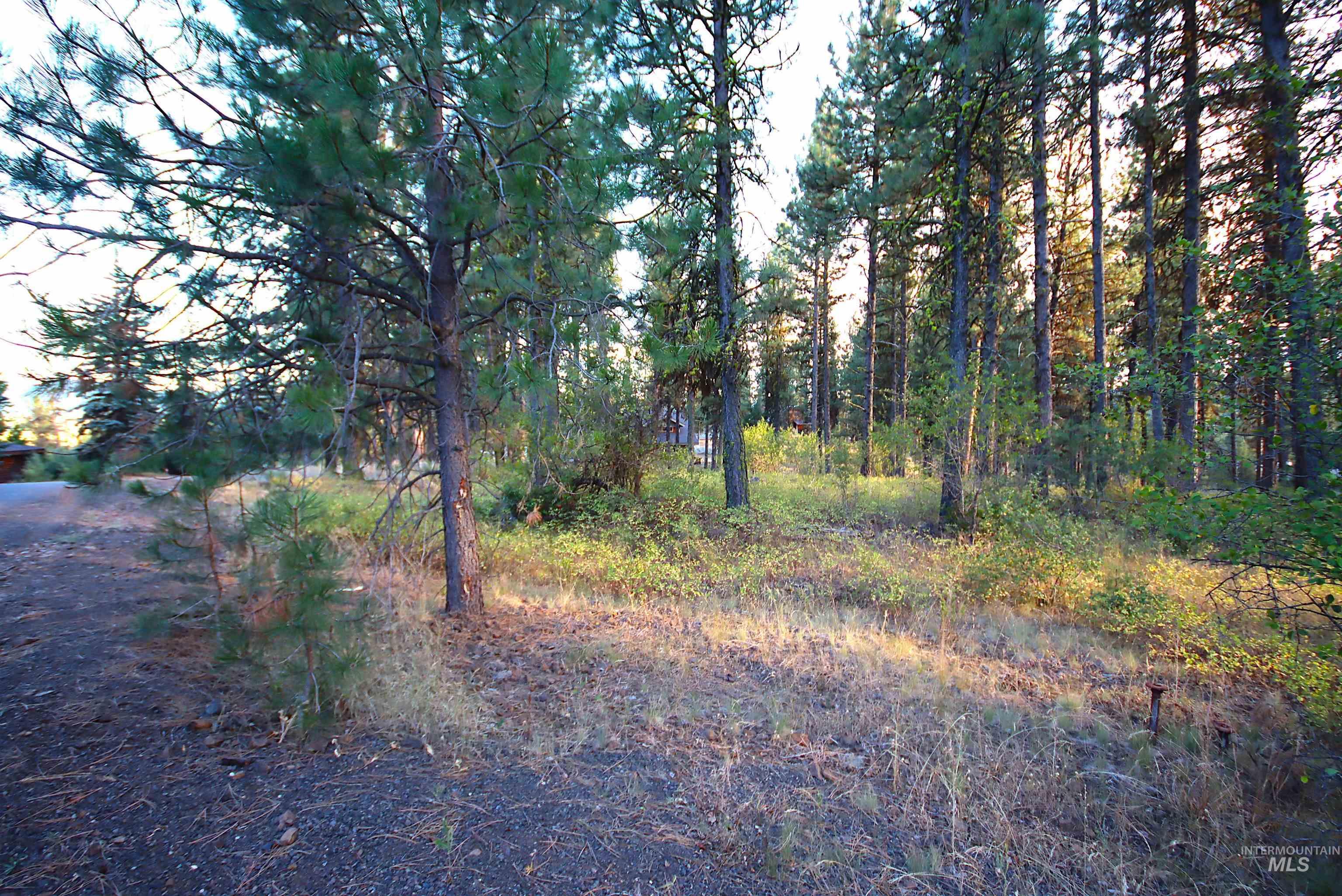 L4B5 Syringa Drive