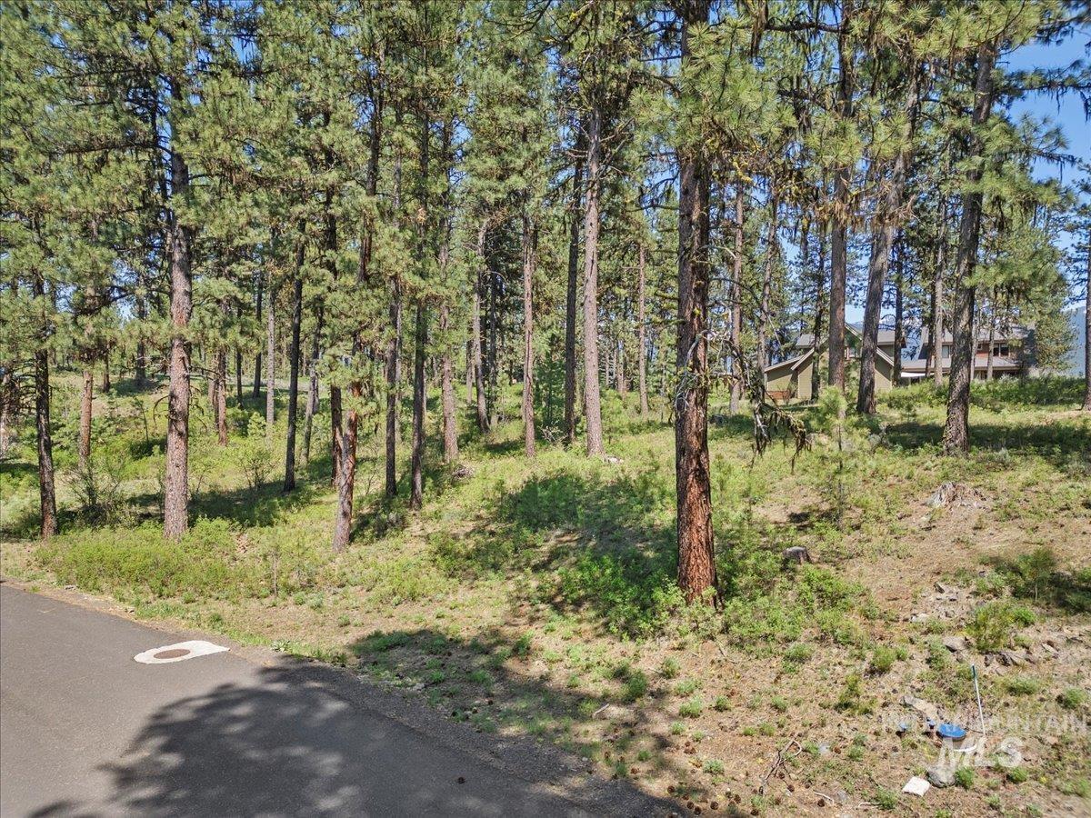 L1B11 Yarrow Dr