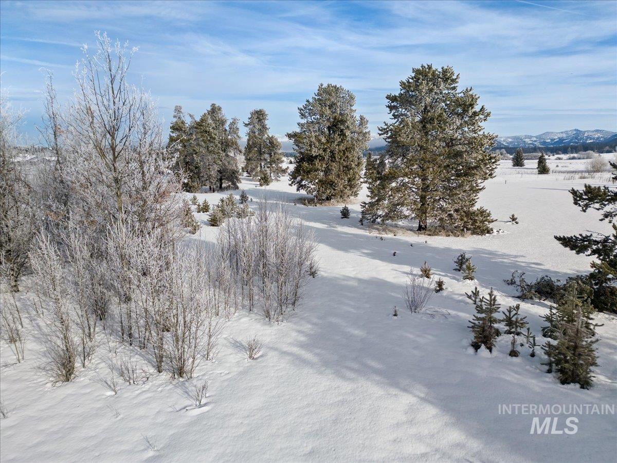 287 Rawhide Loop