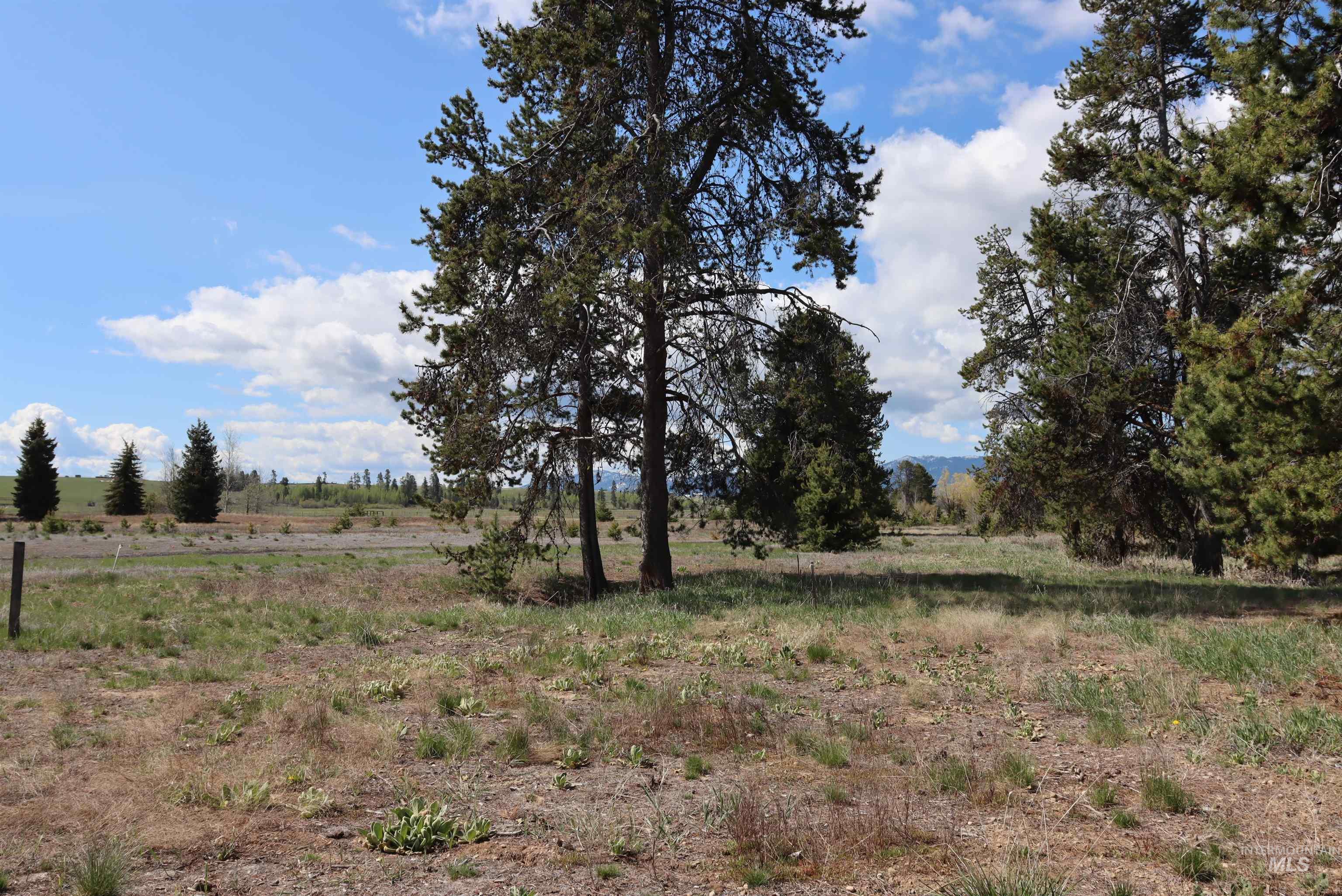 287 Rawhide Loop