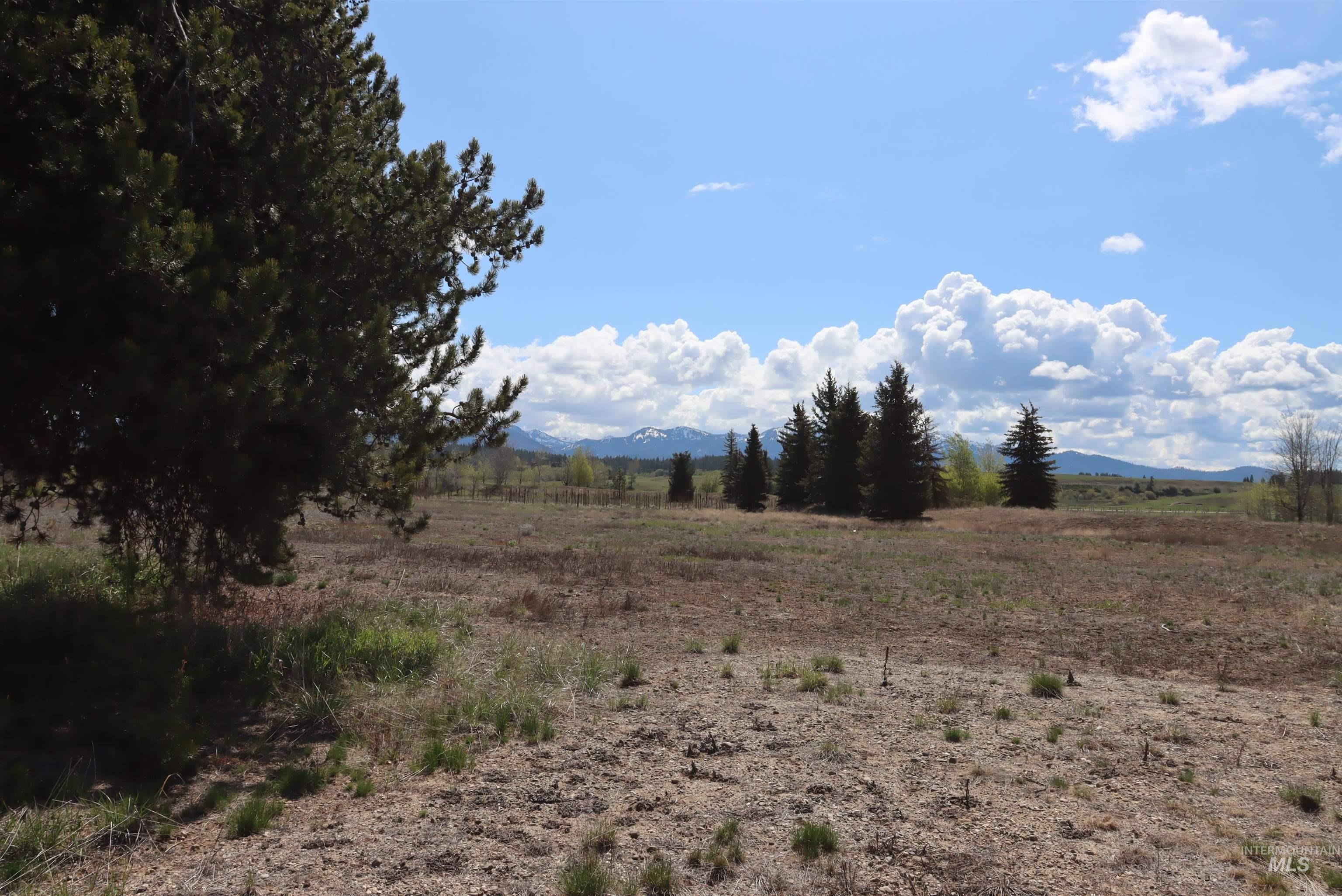 287 Rawhide Loop