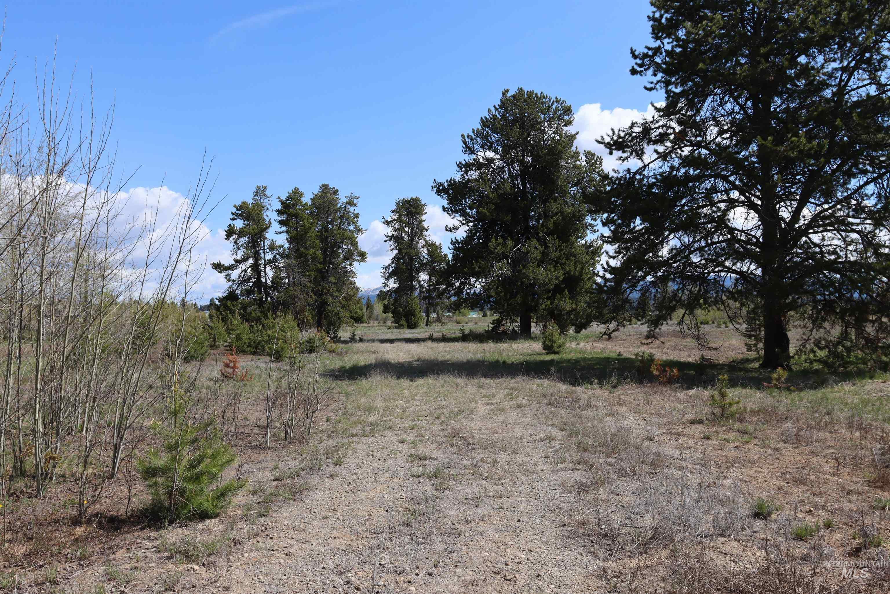 287 Rawhide Loop