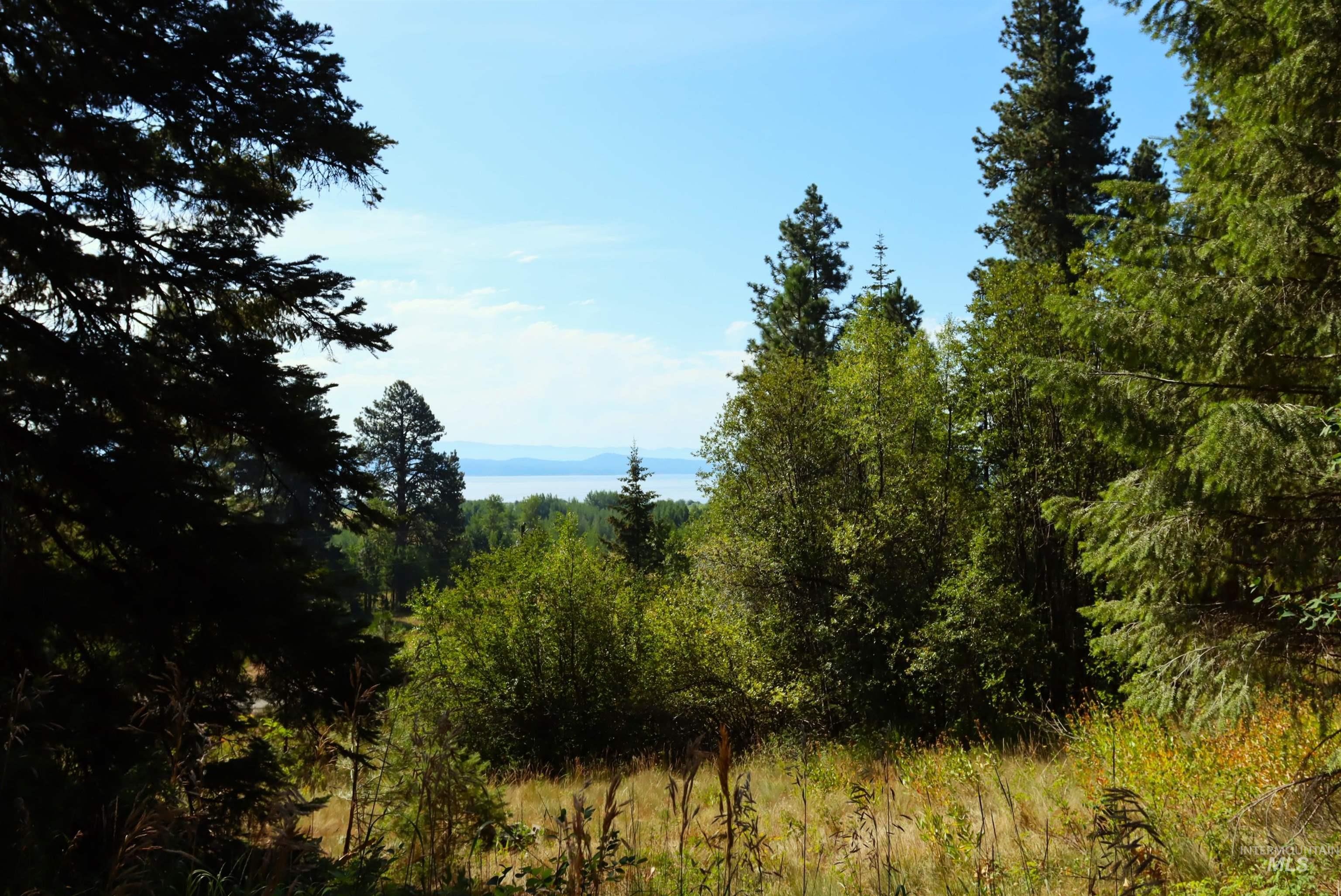 5 Tamarack Trail