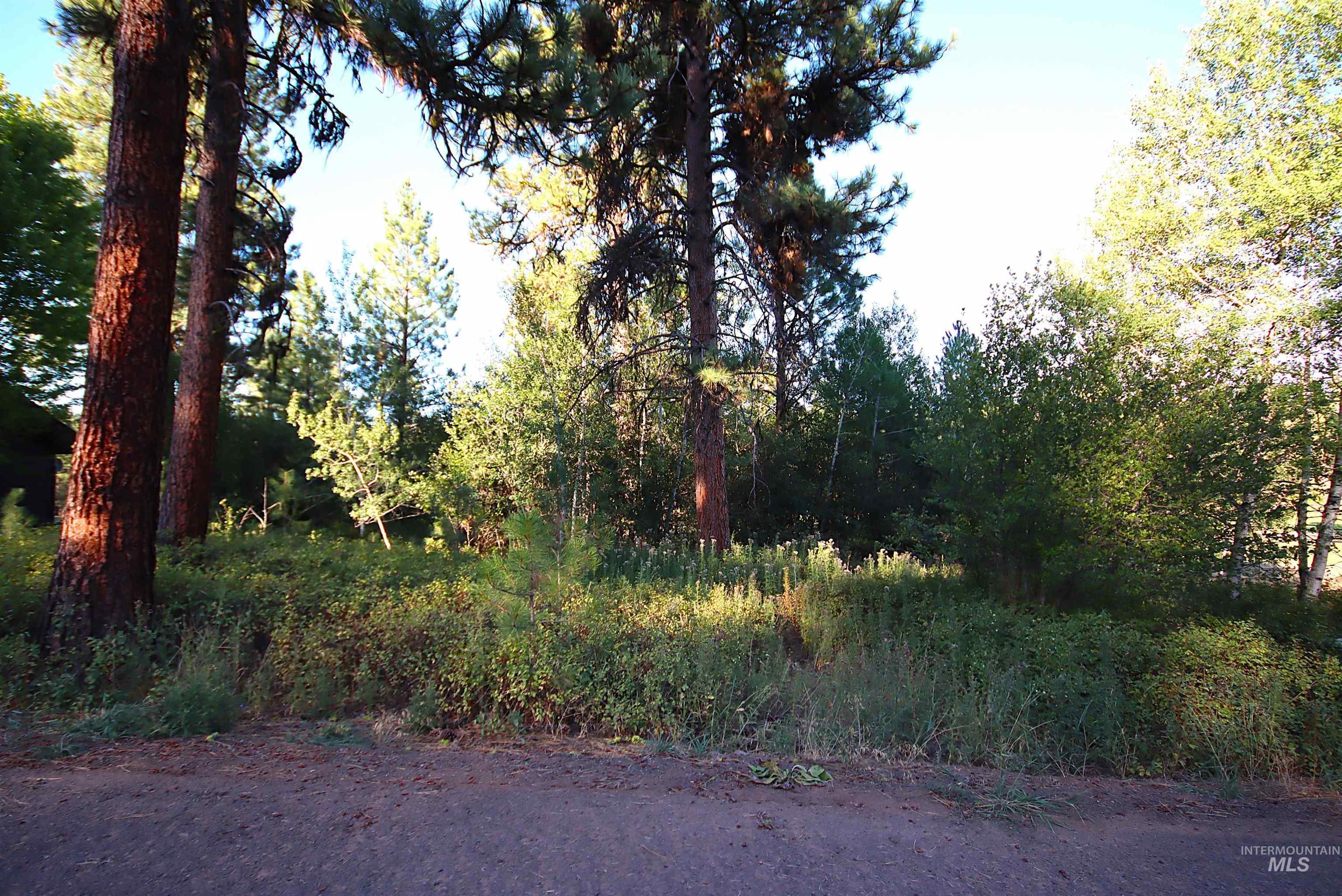 L5 Ponderosa Court