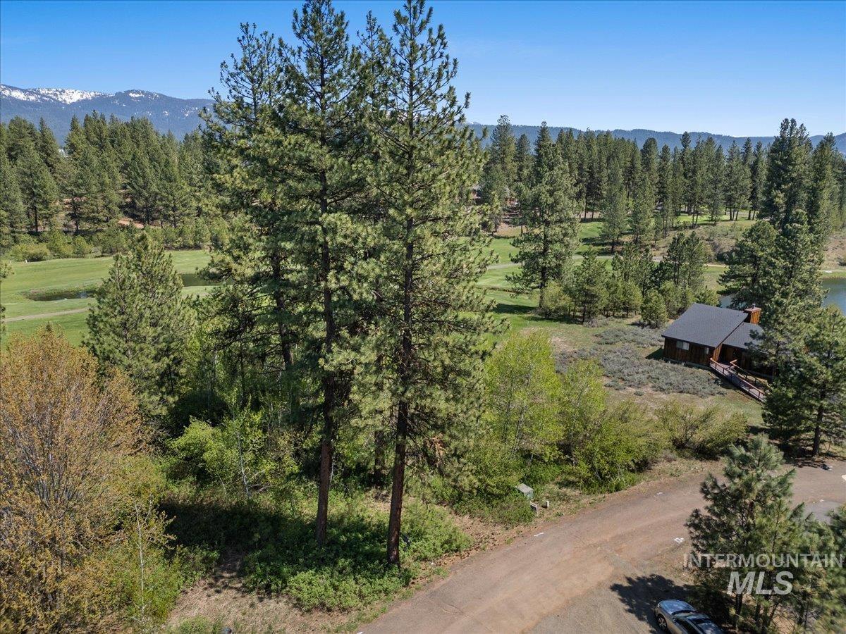 L5 Ponderosa Court