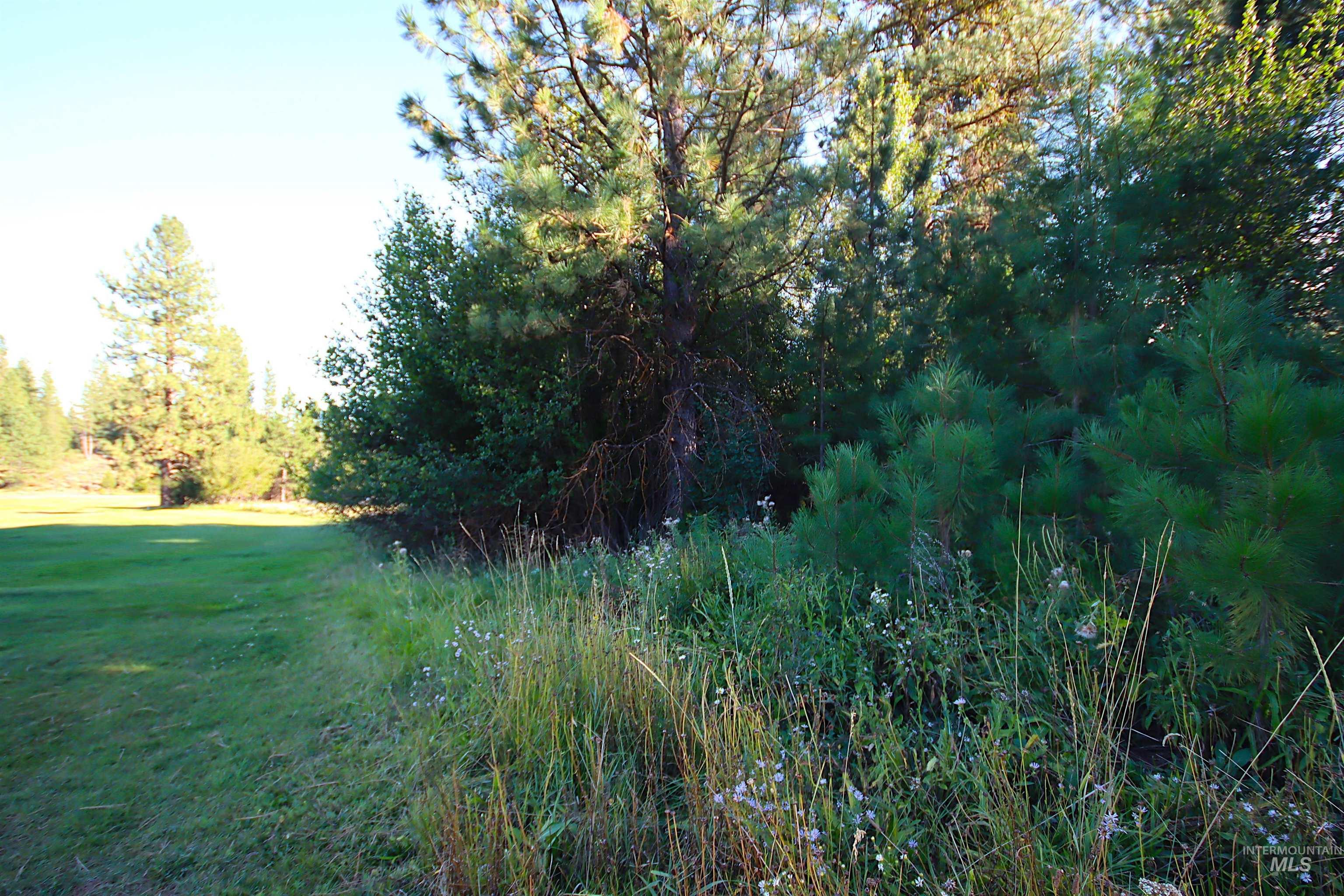 L5 Ponderosa Court