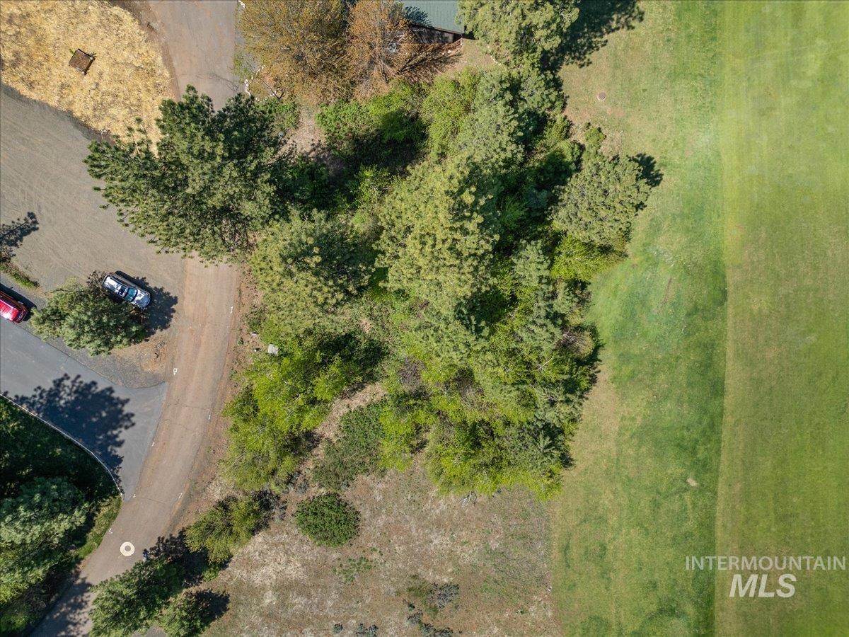 L5 Ponderosa Court
