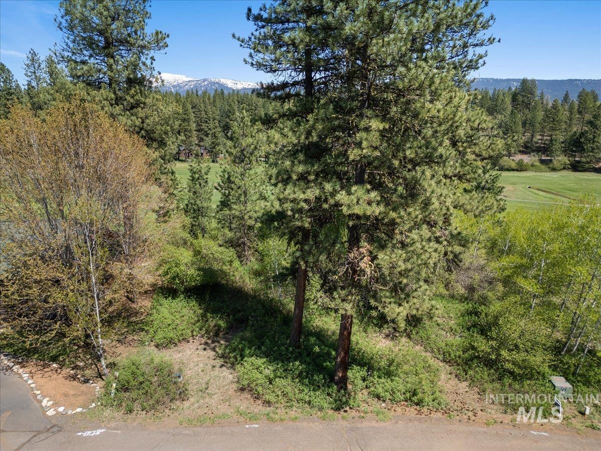 L5 Ponderosa Court