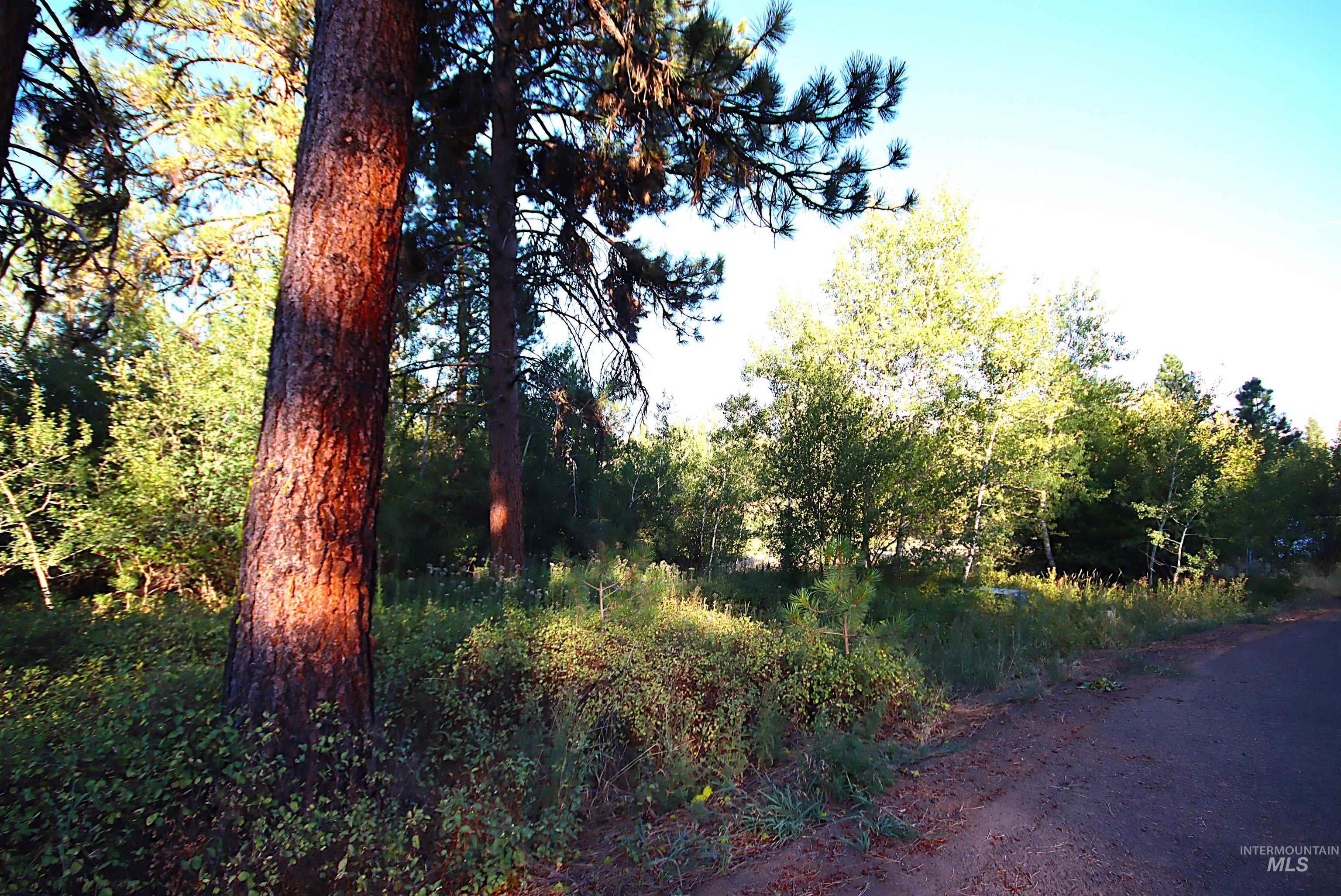L5 Ponderosa Court