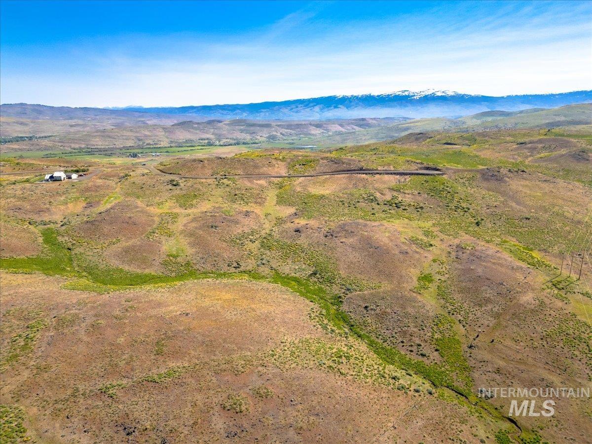 L10 Bitter Brush Lane