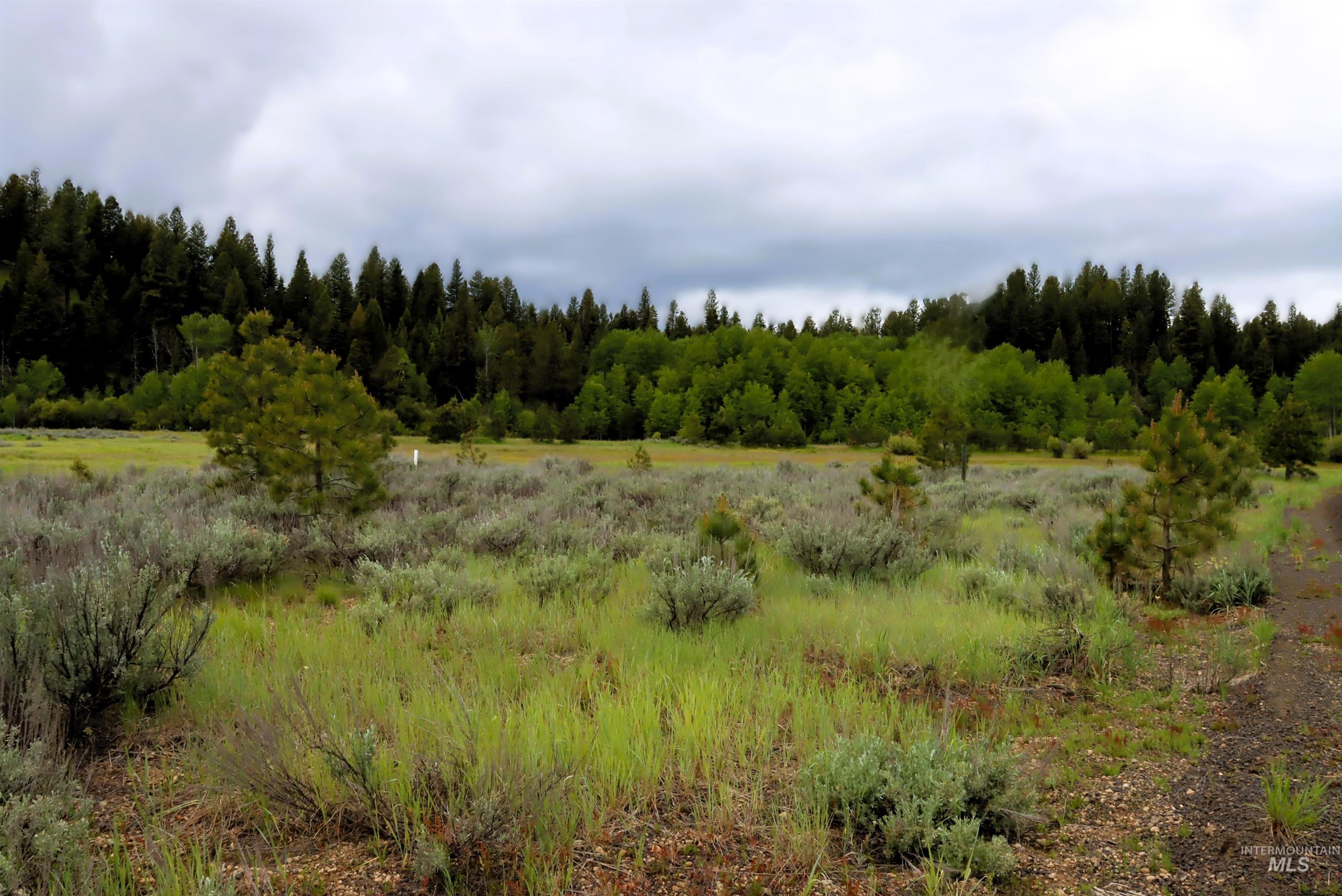 000 Targhee Ct