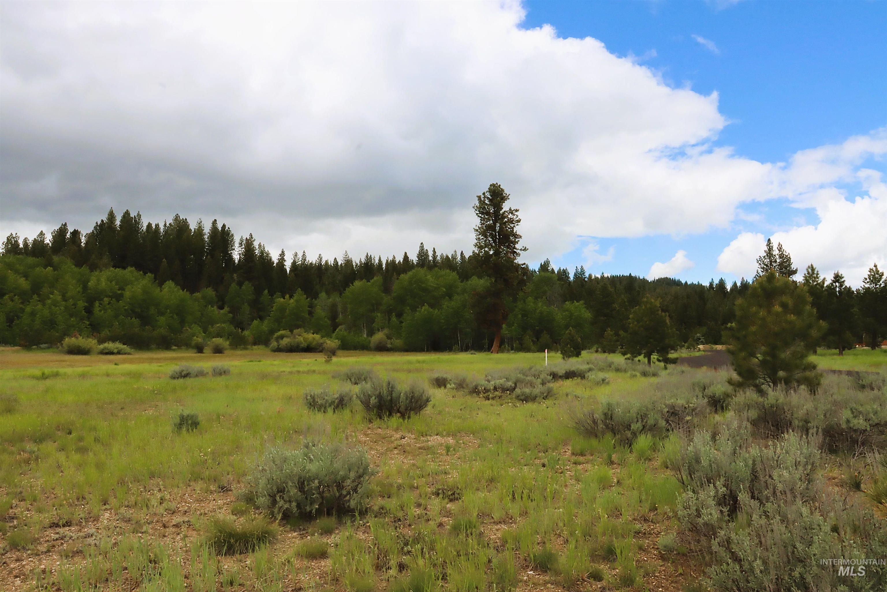 000 Targhee Ct