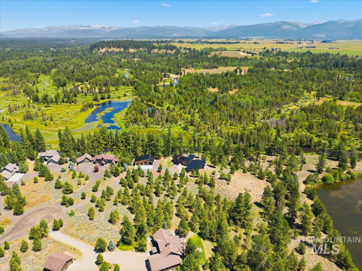 Aerial view of homes among pines beside wetlands, with a pond and distant mountains.