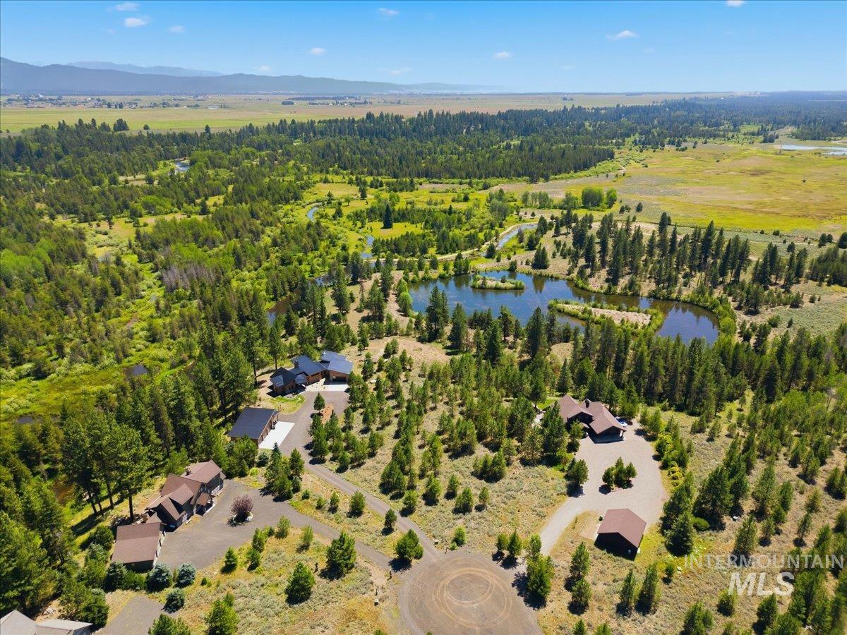 Aerial view of homes among trees beside a pond, stream, and open meadow, with mountains in the distance.