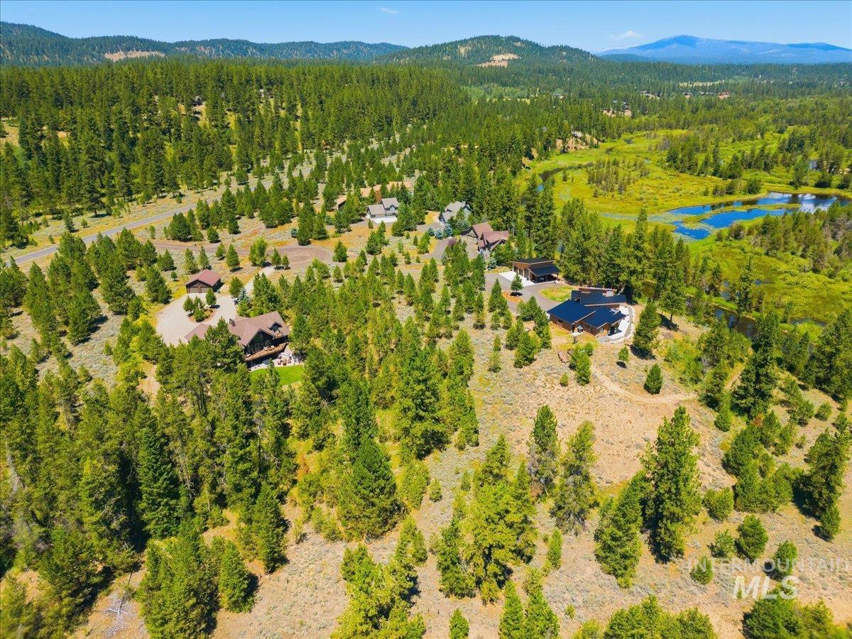 Aerial view of homes among pine trees, with a pond and mountains in the distance.