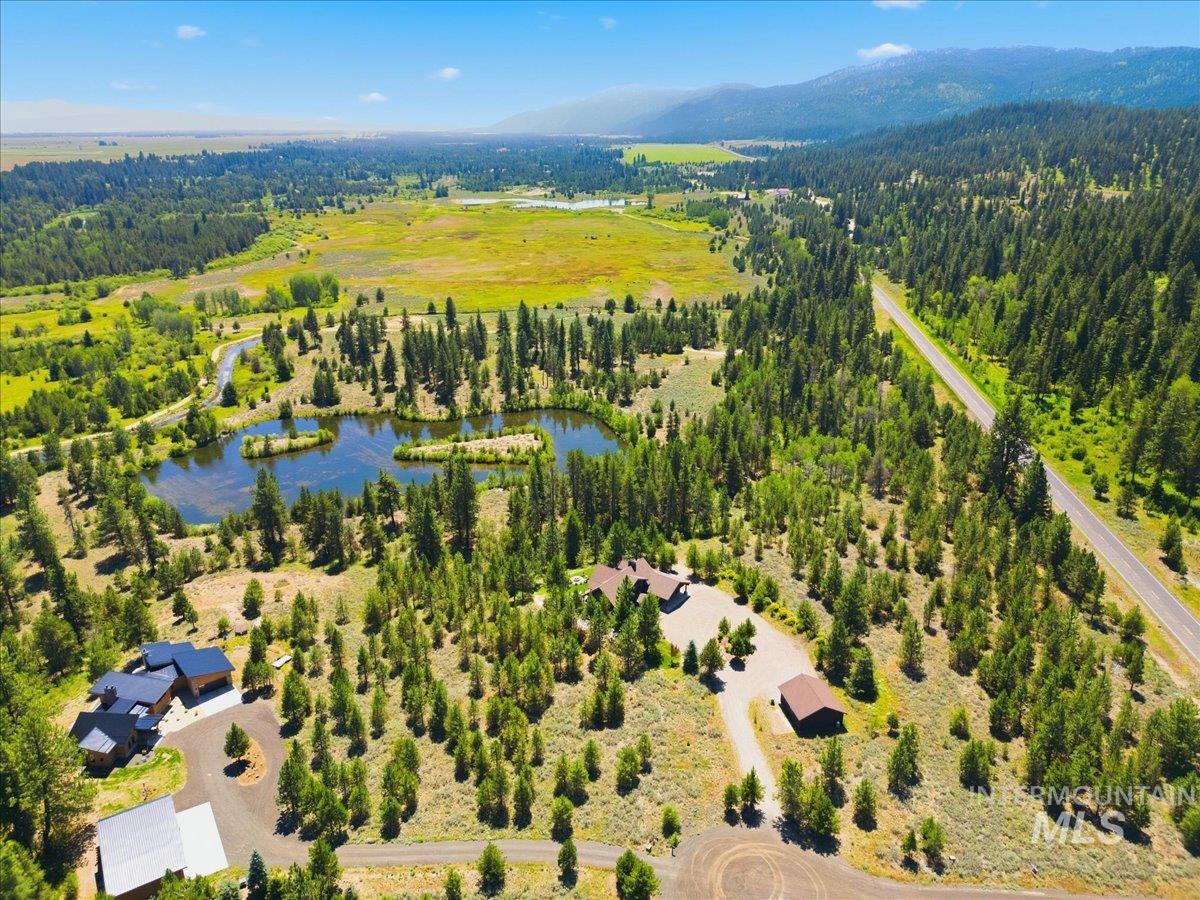 Aerial view of homes among pine trees beside a pond, meadow, and distant mountains.