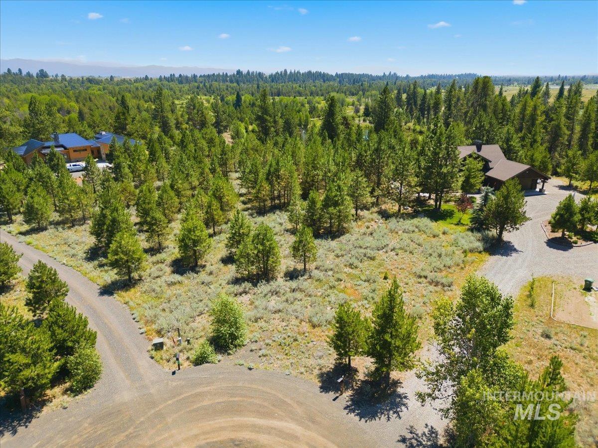 Aerial view of a wooded residential lot with nearby homes and curving roads.
