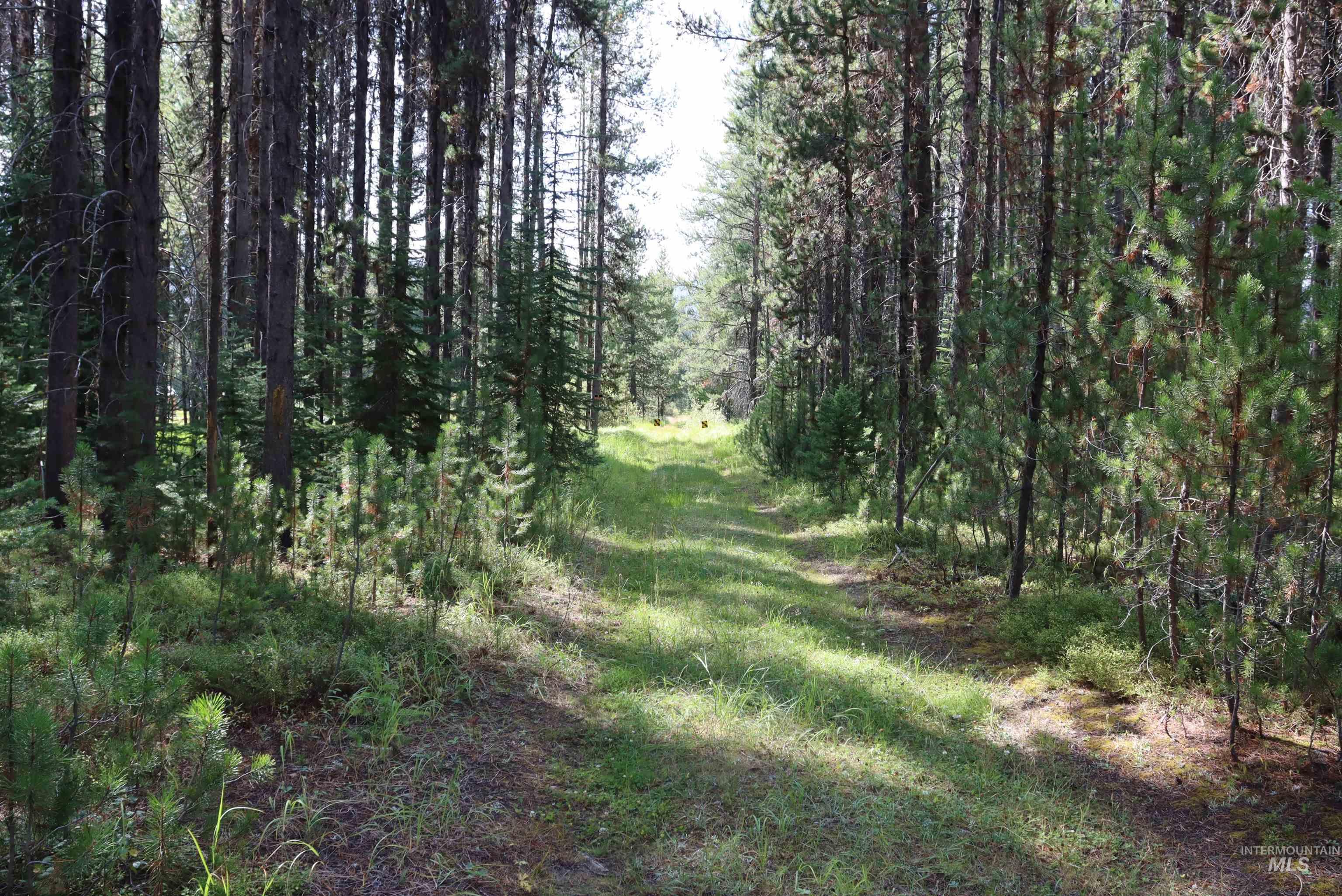 L49 Secesh River Road