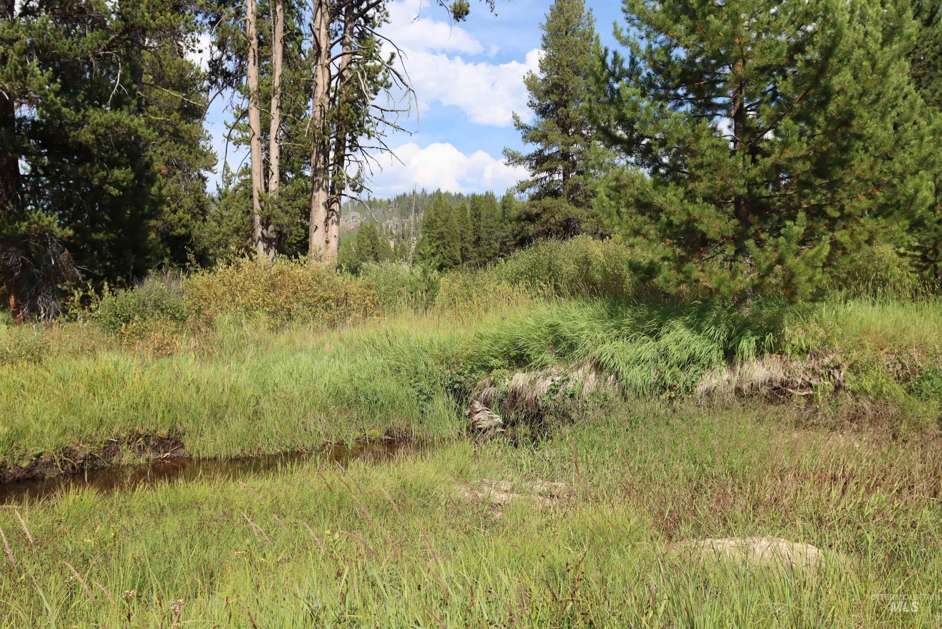 L49 Secesh River Road