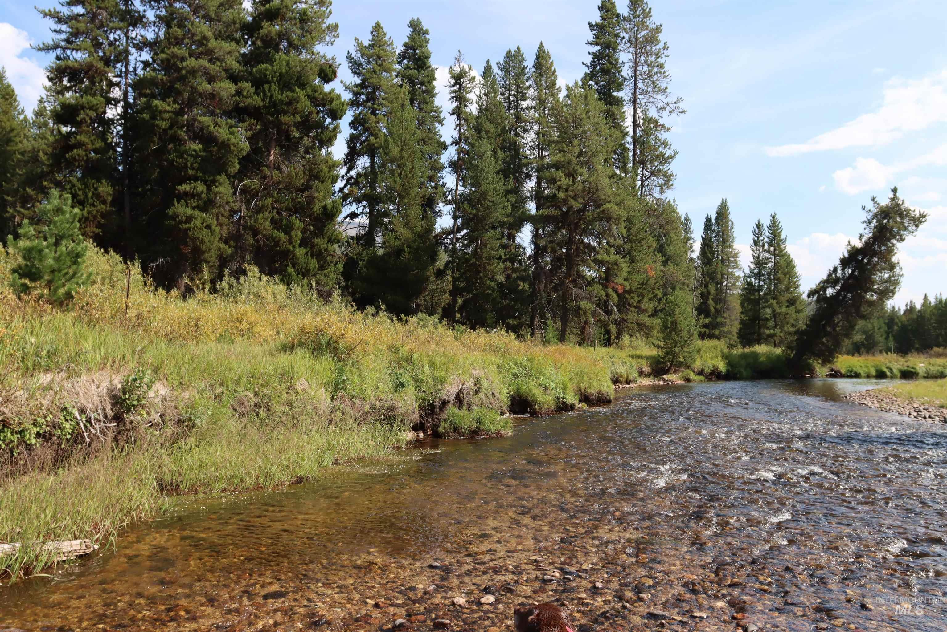 L49 Secesh River Road