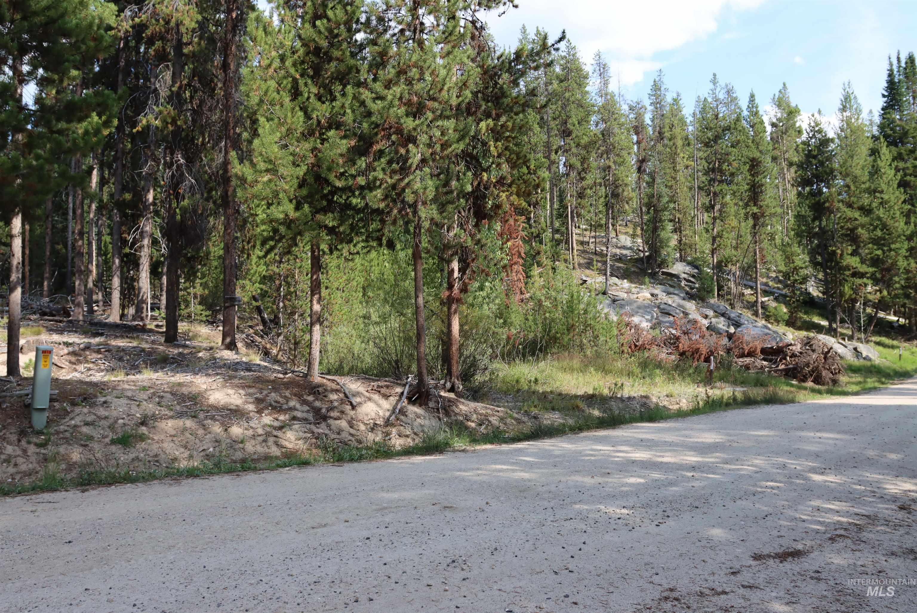 L49 Secesh River Road