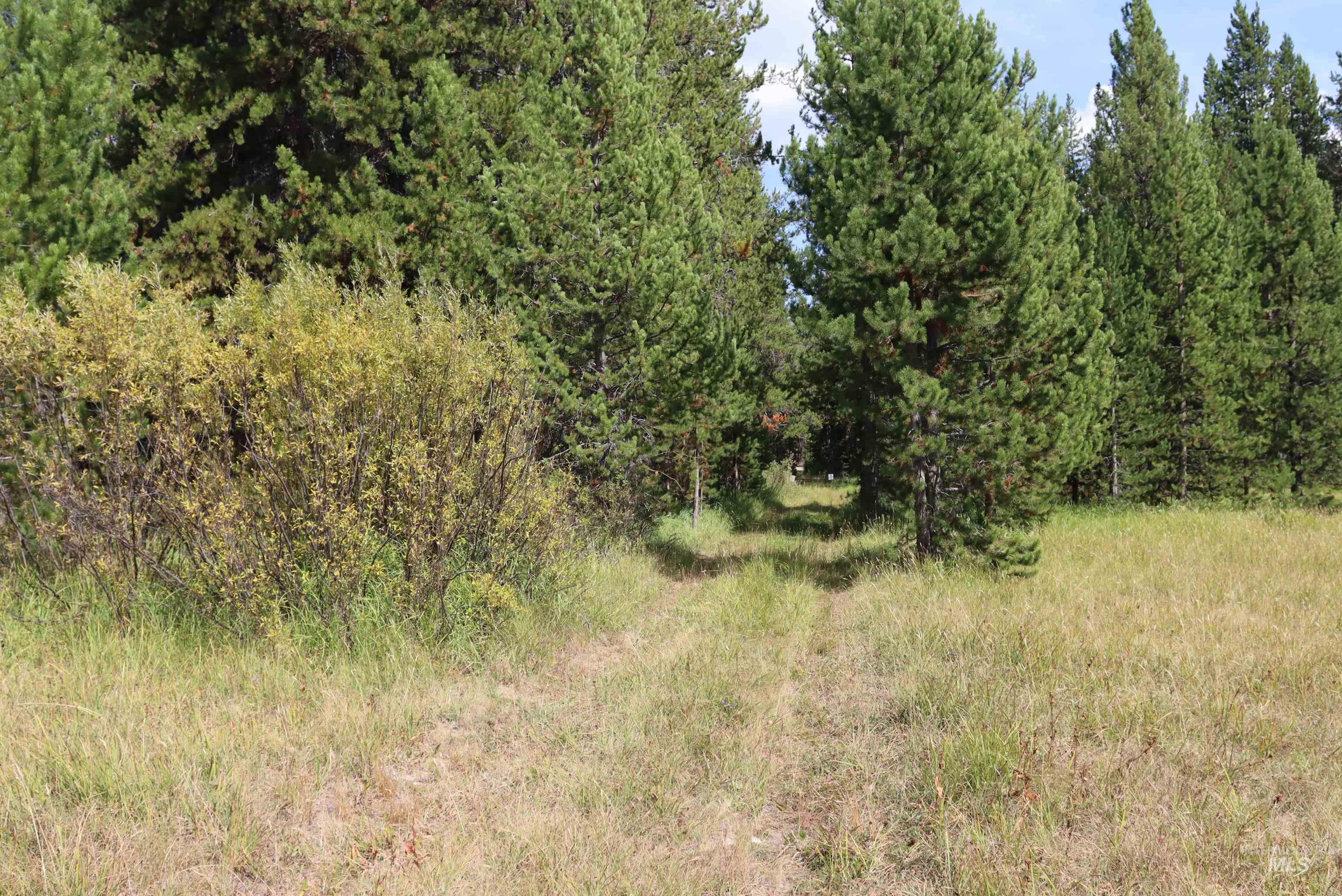 L49 Secesh River Road