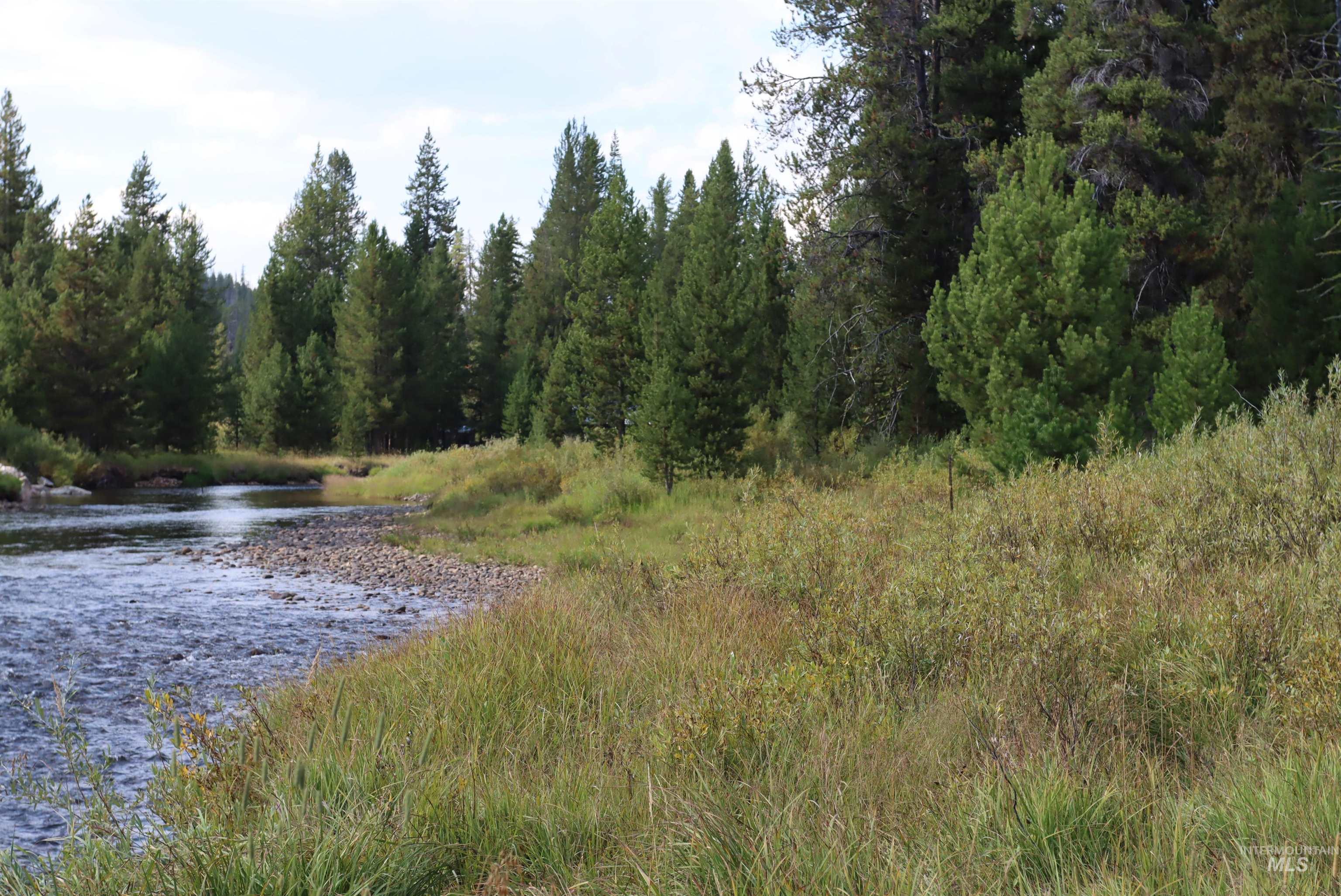 L49 Secesh River Road