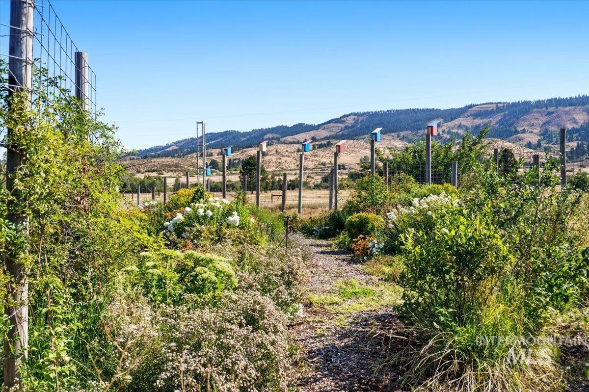 2345 Spring Creek Lane