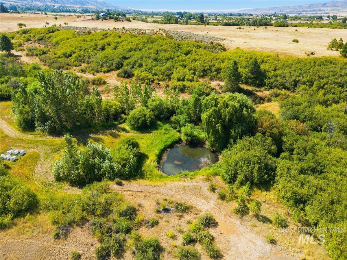 2345 Spring Creek Lane