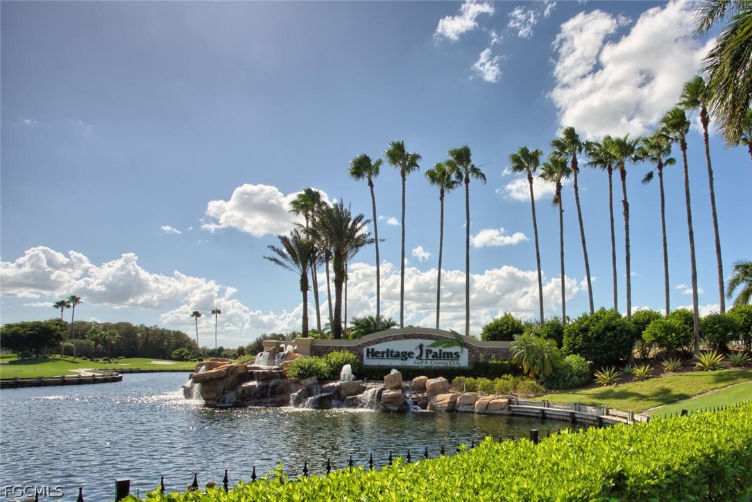10480 Washingtonia Palm WAY 1126
