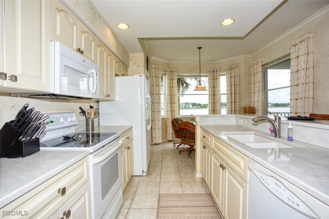 10480 Washingtonia Palm WAY 1126