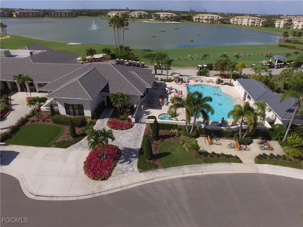 10480 Washingtonia Palm WAY 1126