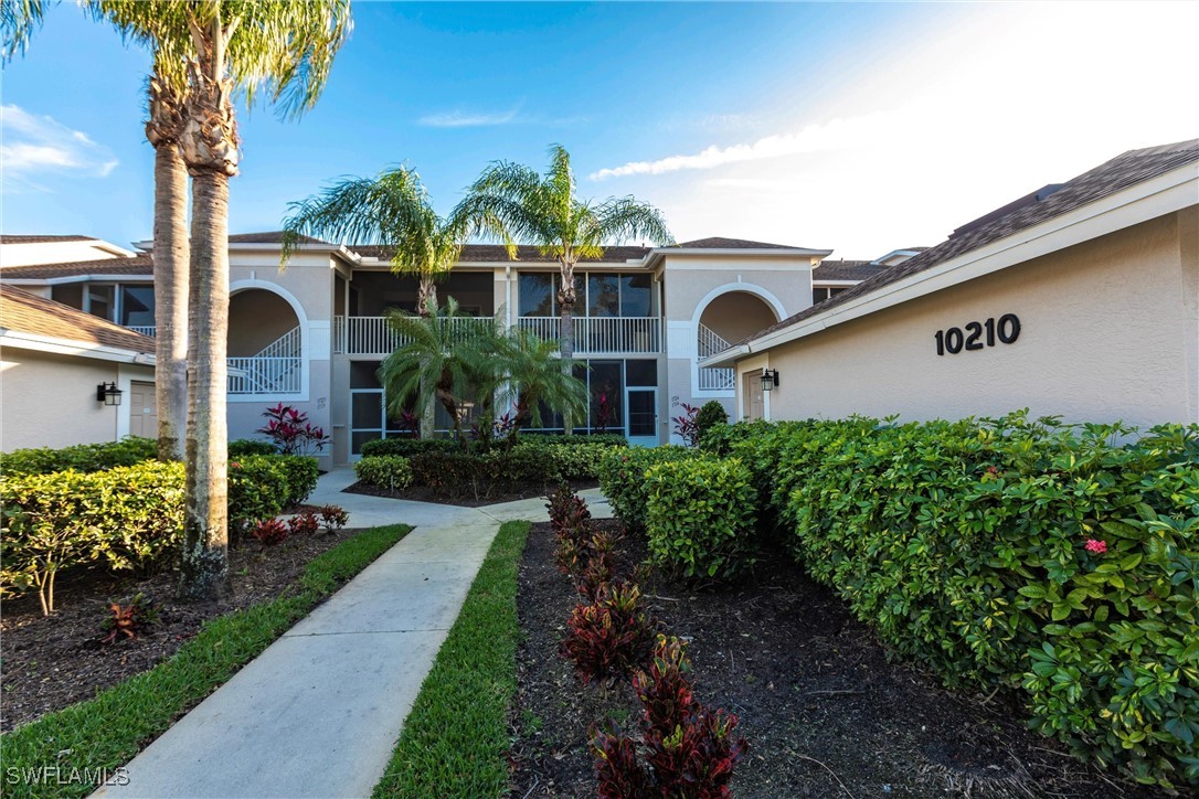 10210 Washingtonia Palm WAY 1723