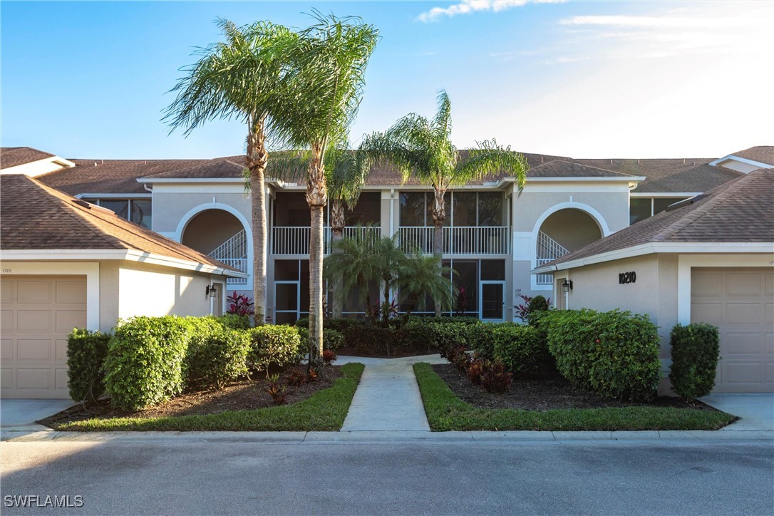 10210 Washingtonia Palm WAY 1723