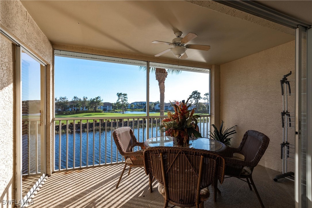 10210 Washingtonia Palm WAY 1723