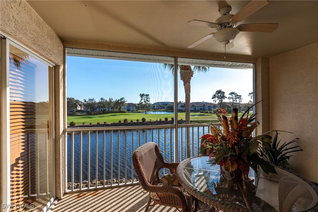 10210 Washingtonia Palm WAY 1723